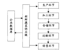 图2 新鲜蔬菜供应链