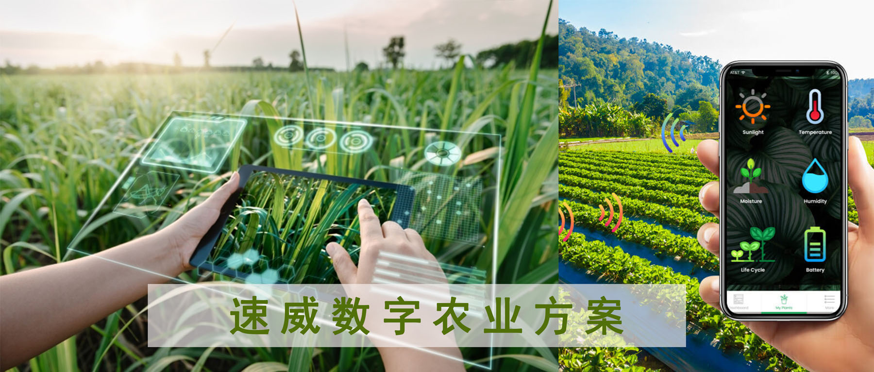 速威数字农业方案