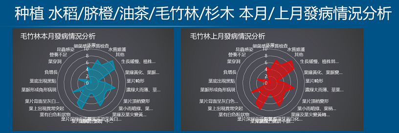 数字乡村方案